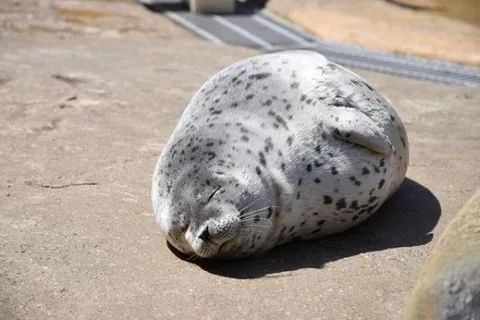 つゆの写メ日記｜アクアマリン 吉原格安店ソープ