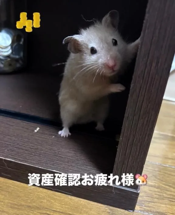 すみれの写メ日記｜ビッグマン 吉原大衆店ソープ