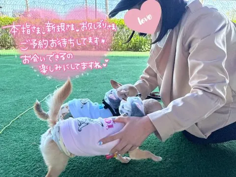 あやのの写メ日記|ビッグマン 吉原大衆店ソープ