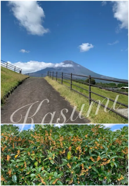 かすみの写メ日記｜シーザースパレス 吉原大衆店ソープ