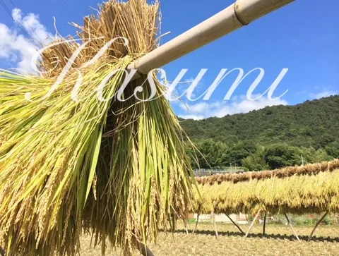 かすみの写メ日記｜シーザースパレス 吉原大衆店ソープ