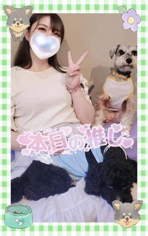 柚葉の写メ日記|シャトーペトラ 吉原大衆店ソープ