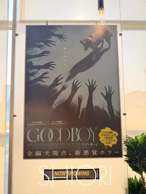 しおりの写メ日記｜クラブオアシス 吉原大衆店ソープ
