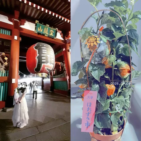 うにの写メ日記｜クラブオアシス 吉原大衆店ソープ