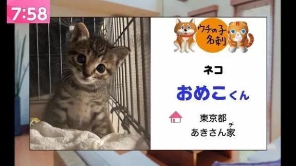 みわの写メ日記｜クラブオアシス 吉原大衆店ソープ