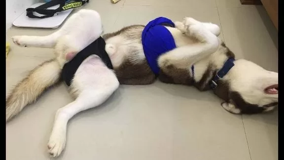 みわの写メ日記｜クラブオアシス 吉原大衆店ソープ