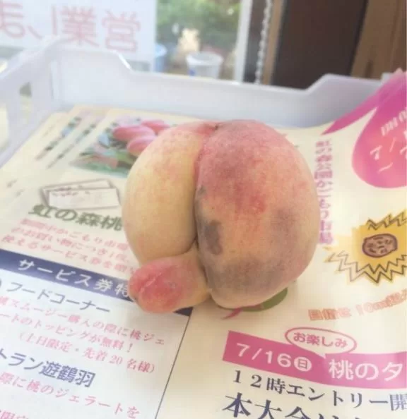 みわの写メ日記｜クラブオアシス 吉原大衆店ソープ
