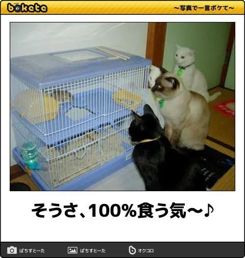 みわの写メ日記｜クラブオアシス 吉原大衆店ソープ
