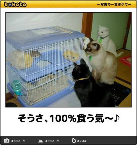 みわの写メ日記｜クラブオアシス 吉原大衆店ソープ