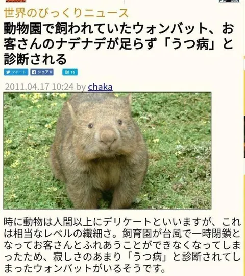 みわの写メ日記｜クラブオアシス 吉原大衆店ソープ