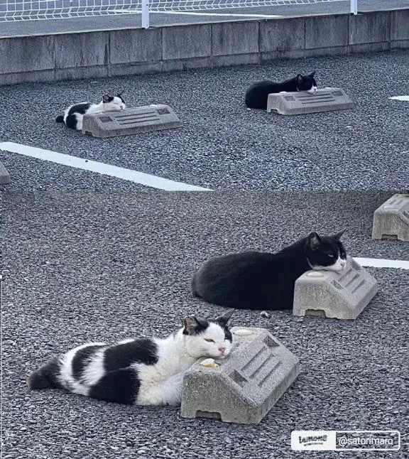 みわの写メ日記｜クラブオアシス 吉原大衆店ソープ
