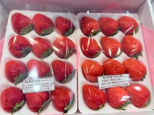 一ノ瀬　あやこの写メ日記｜エル・カーヒル 秘密の刻 川崎高級店ソープ