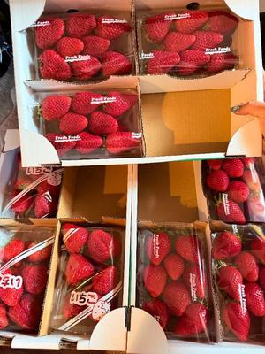 一ノ瀬　あやこの写メ日記｜エル・カーヒル 秘密の刻 川崎高級店ソープ