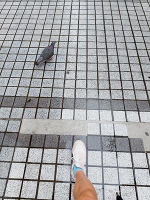 一ノ瀬　あやこの写メ日記｜エル・カーヒル 秘密の刻 川崎高級店ソープ