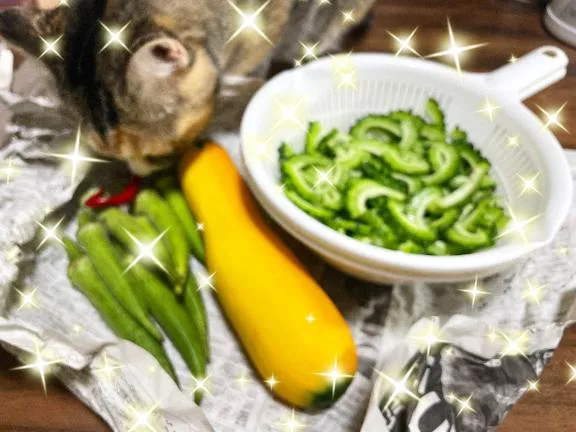 Chiaki Arimaの写メ日記｜エレガント 吉原高級店ソープ