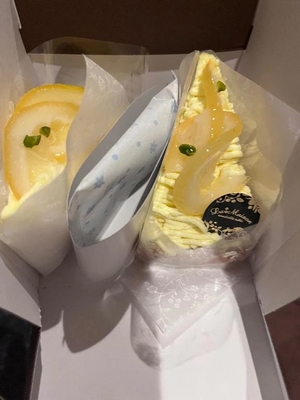 Misaki Arimuraの写メ日記｜エレガント 川崎高級店ソープ
