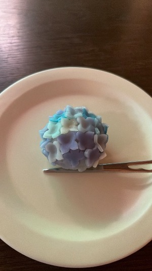 Akane Niikuraの写メ日記｜エレガント 川崎高級店ソープ