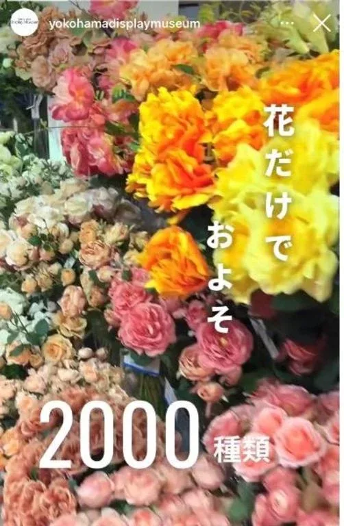 Ichika Amaneの写メ日記｜エレガント 吉原高級店ソープ