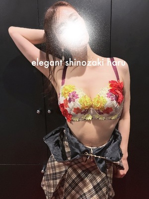Haru Shinozakiの写メ日記｜エレガント 川崎高級店ソープ