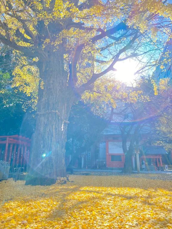 五月ゆうの写メ日記｜エトワール 吉原高級店ソープ