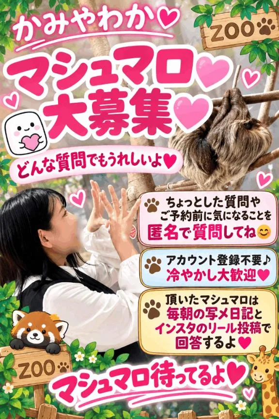神谷和花の写メ日記｜ハールブルク 吉原高級店ソープ