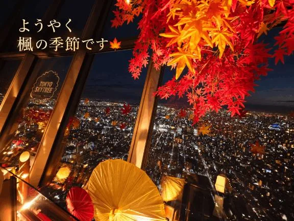浜川 楓の写メ日記｜ハールブルク 吉原高級店ソープ