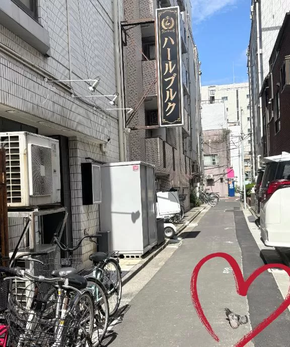 橘 杏紗の写メ日記｜ハールブルク 吉原高級店ソープ