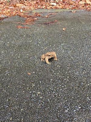 乃木風香の写メ日記｜ハールブルク 吉原高級店ソープ
