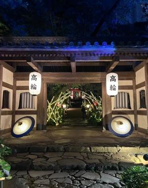 五十嵐理華の写メ日記｜ハールブルク 吉原高級店ソープ