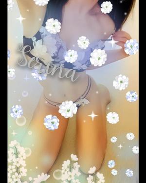 音藤 瀬莉奈の写メ日記｜ハールブルク 吉原高級店ソープ