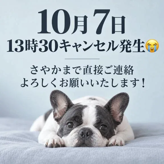 さやかの写メ日記｜女帝 吉原高級店ソープ