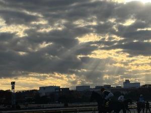 りとの写メ日記｜ラビアンローズ 吉原高級店ソープ