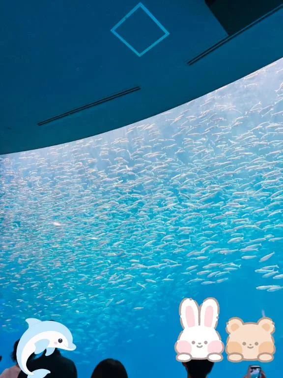 瀬里奈の写メ日記｜ラビアンローズ 吉原高級店ソープ