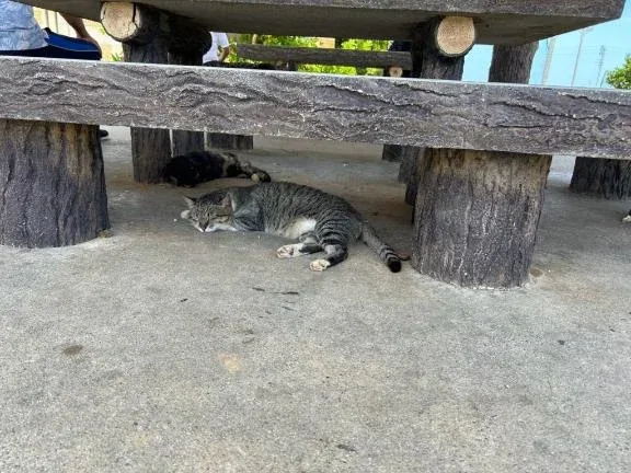 ユズハの写メ日記｜ラブ&ピース 吉原格安店ソープ