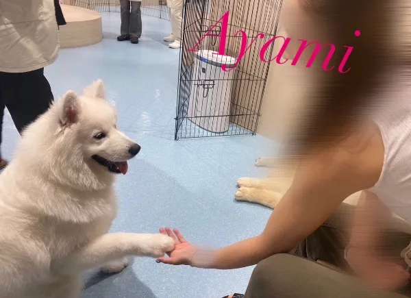 アヤミの写メ日記｜プラチナム～PLATINUM～ 吉原格安店ソープ