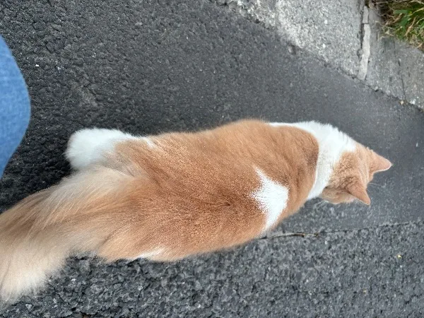 カナタの写メ日記｜プラチナム～PLATINUM～ 吉原格安店ソープ