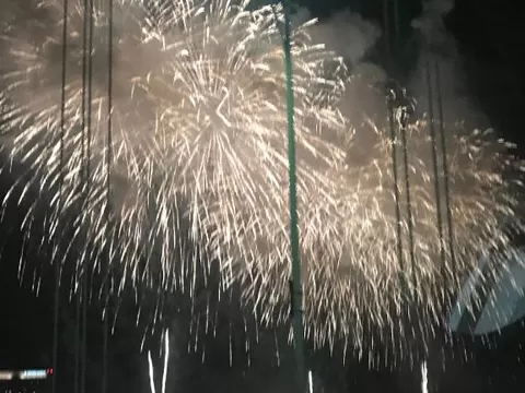 ひかるの写メ日記｜ルピナス 吉原高級店ソープ