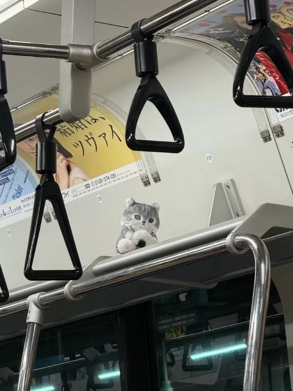 白藤の写メ日記｜プレジデントクラブ 吉原高級店ソープ