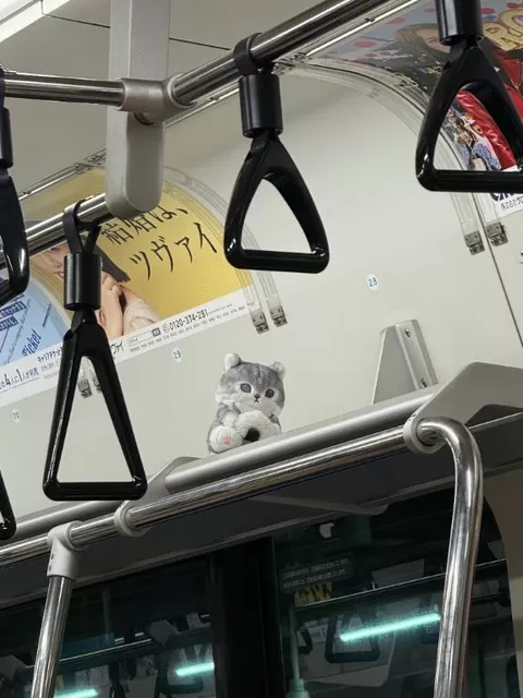 白藤の写メ日記|プレジデントクラブ 吉原高級店ソープ