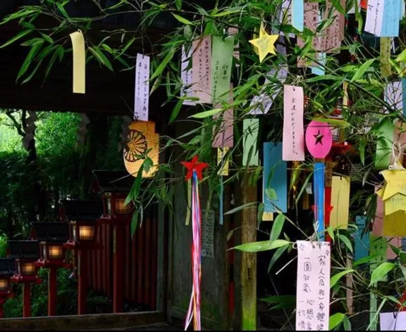 白藤の写メ日記｜プレジデントクラブ 吉原高級店ソープ