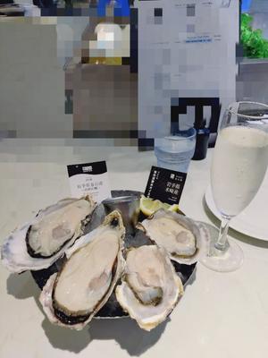 小日向朝露の写メ日記｜プレジデントクラブ 吉原高級店ソープ