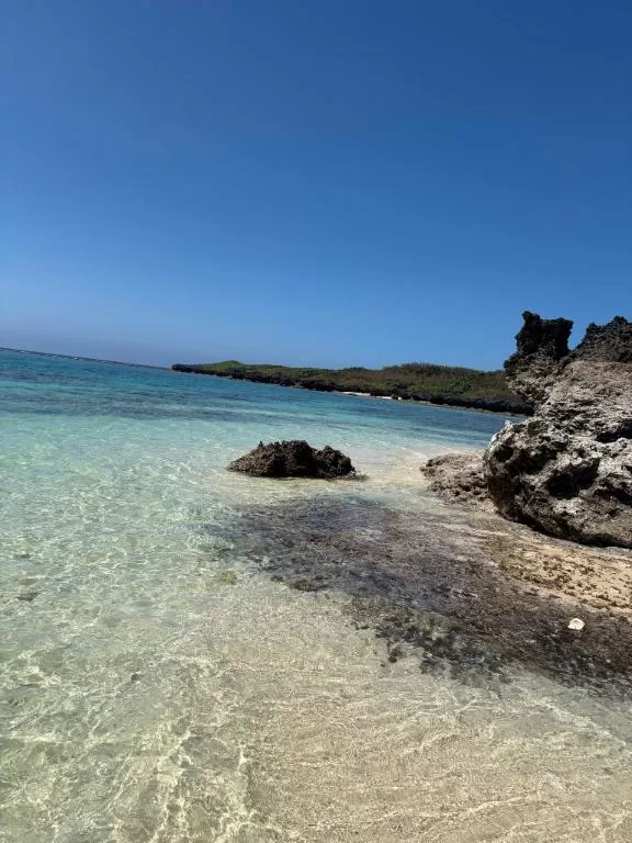 冴島 楓の写メ日記｜プレジデントクラブ 吉原高級店ソープ