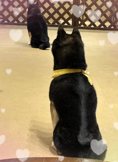 倉本の写メ日記｜プレジデントクラブ 吉原高級店ソープ