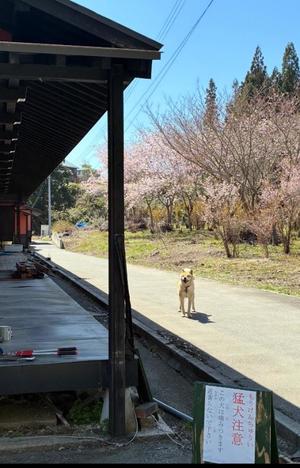 竹下夢路の写メ日記｜プレジデントクラブ 吉原高級店ソープ