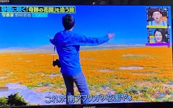 松嶋那々の写メ日記｜プレジデントクラブ 吉原高級店ソープ