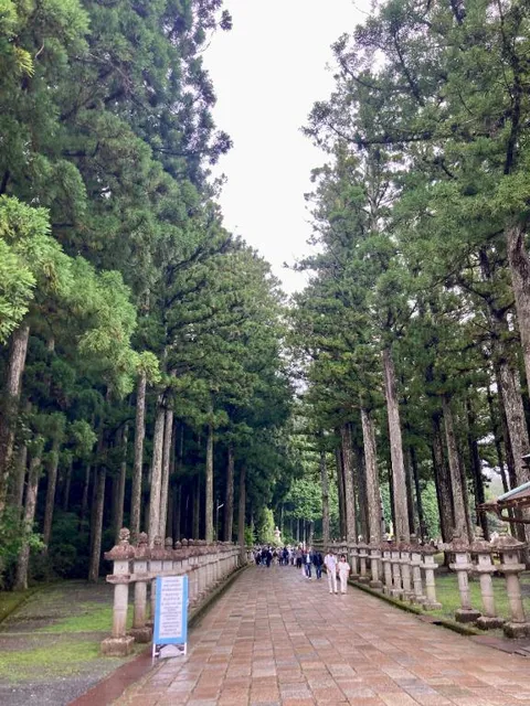 松嶋那々の写メ日記|プレジデントクラブ 吉原高級店ソープ