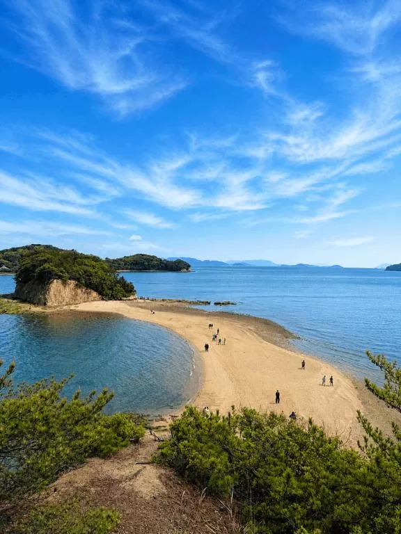 大城璃夏の写メ日記｜プレジデントハウス 吉原大衆店ソープ