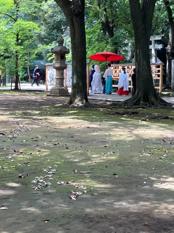 葉月美優の写メ日記｜プレジデントハウス 吉原大衆店ソープ