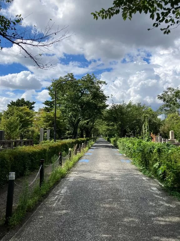 葉月美優の写メ日記｜プレジデントハウス 吉原大衆店ソープ