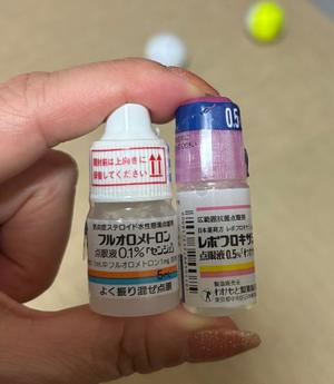 成瀬まこの写メ日記｜プレジデントハウス 吉原大衆店ソープ